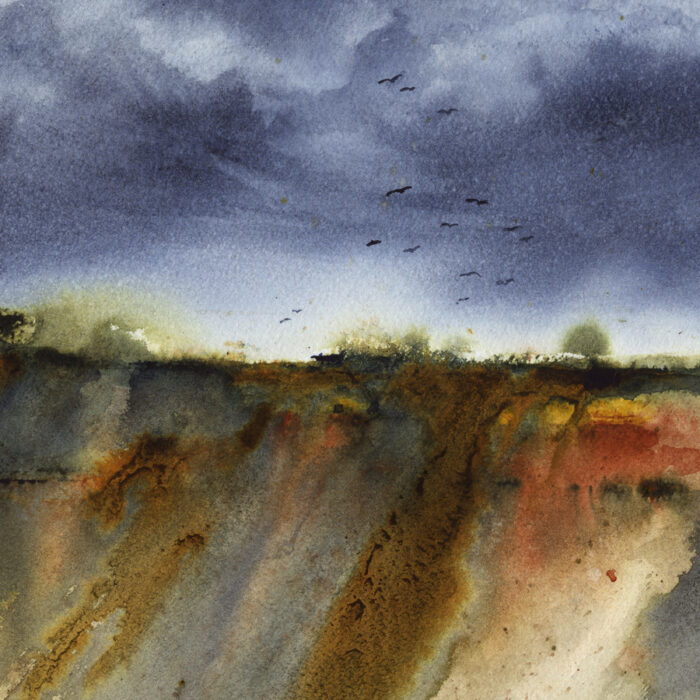 Afternoon Storm