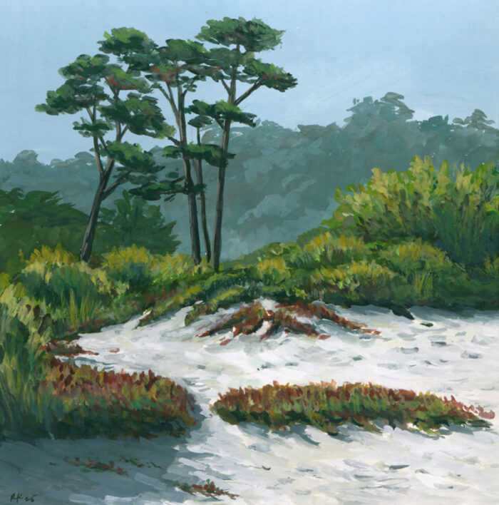 Dunes in Carmel