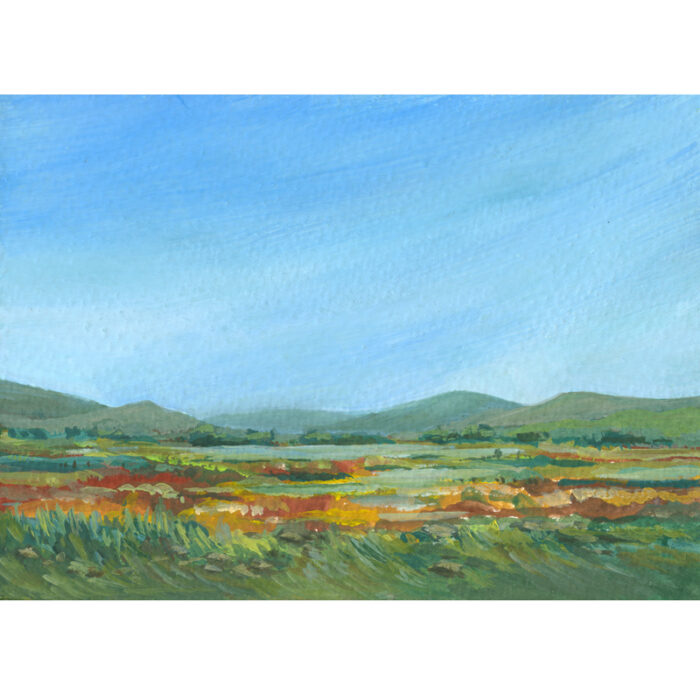 Marshlands