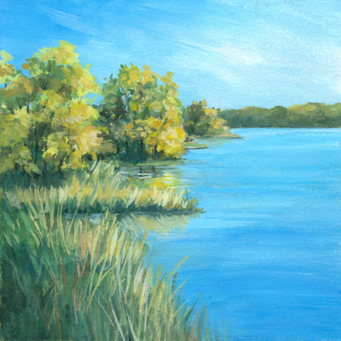 Morning Calm